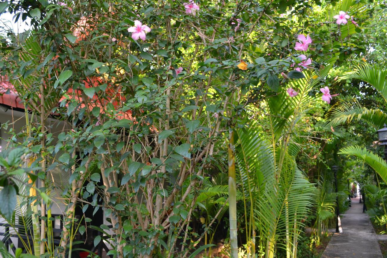 Nature Boutique Residence Siem Reap Exterior photo